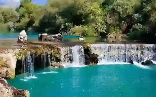 Blog Article 113, Read More...